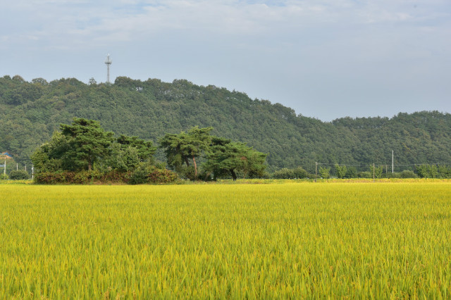 DSC_3308.JPG